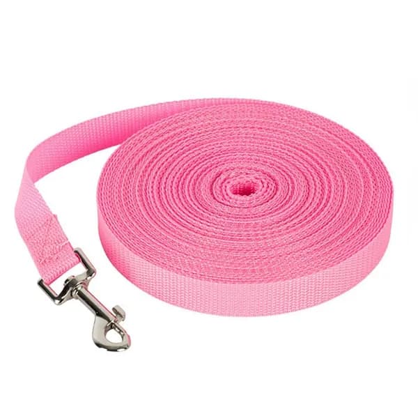 Поводок собаки