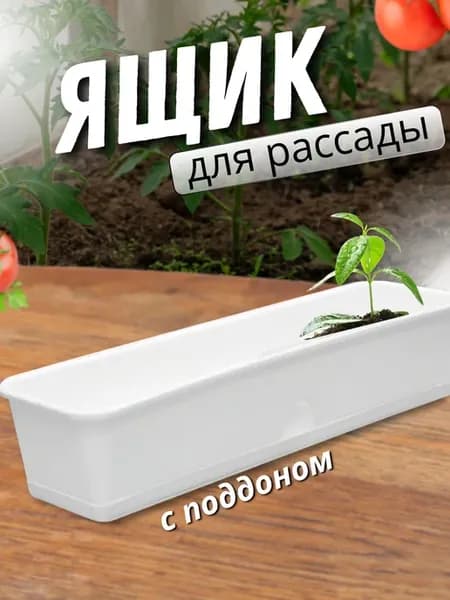 Ящик для рассады пластиковый с поддоном