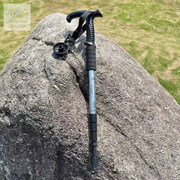 Лыжные палки, 110 см
