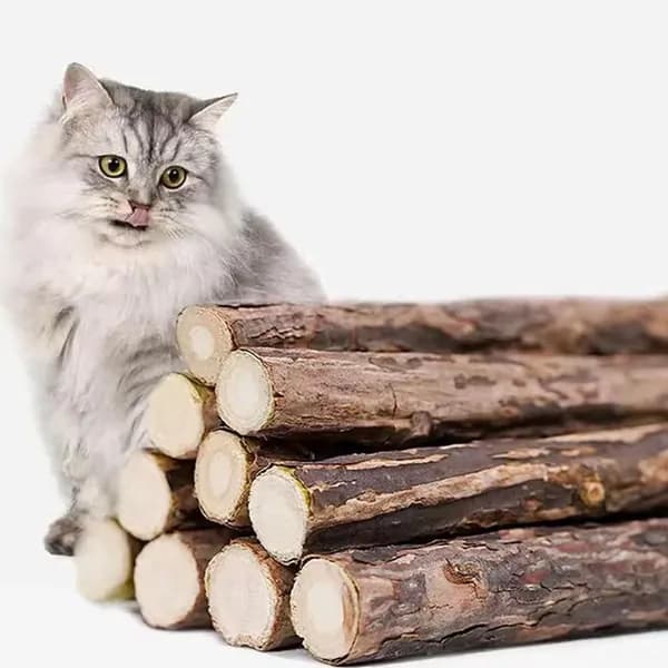 Палочки мататаби , игрушка для кошек, для чистки зубов,Лечебный котенок, жевательная игрушка, аксессуары для домашних животных