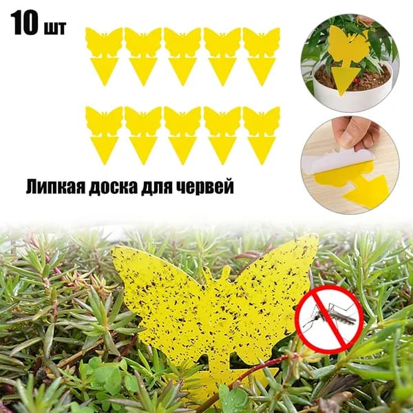 Ловушка для садовых вредителей