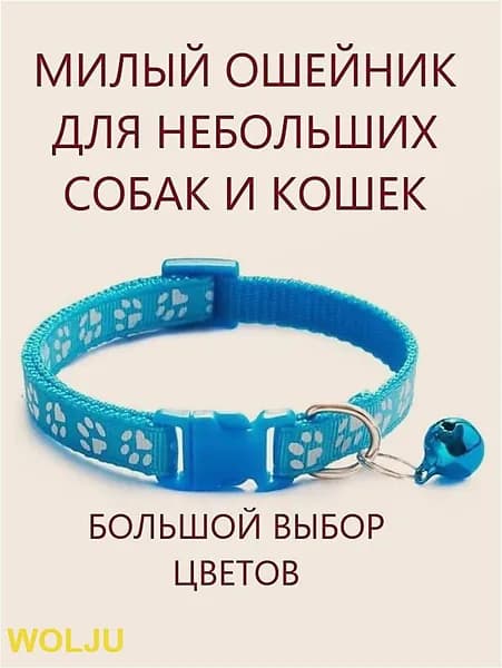 Ошейник