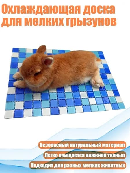 Охлаждающая доска для мелких грызунов, Синий - S