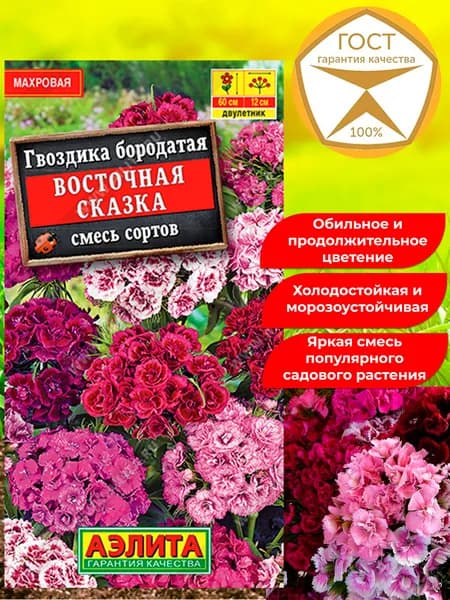 Семена цветов Гвоздика Восточная сказка. Яркая смесь сортов для сада.