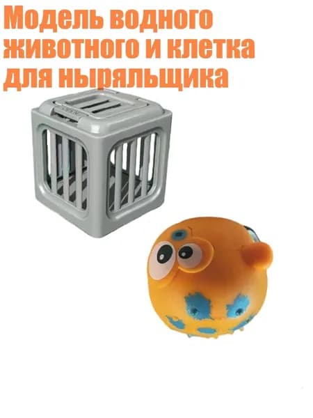 Аксессуары, запчасти для снорклинга