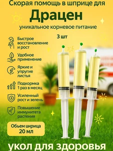 Удобрение скорая помощь для Драцен