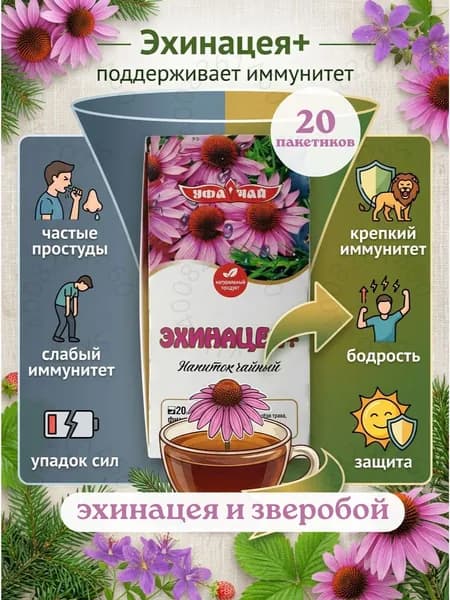 Чай с эхинацеей и хвоей в пакетиках. Травяной чай для иммунитета и профилактики простуды