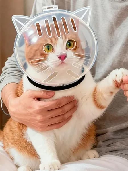 Космический шлем для кота, прозрачный, дизайн кошачьей головы, размеры S