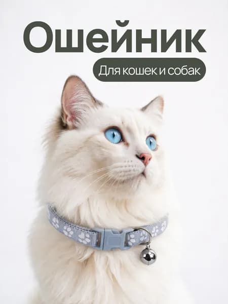 Ошейник с колокольчиком для кошек, котят, собак мелких пород и кроликов