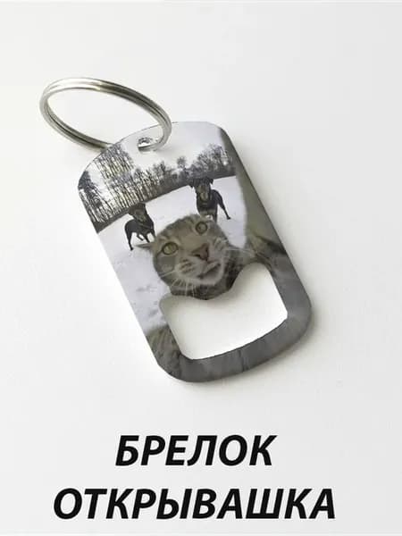 Брелок открывашка "Кот с Собаками"