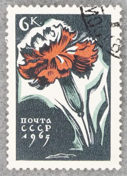 Почтовая марка "Гвоздика". Номинал 6 коп. СССР. 1965 год. (Загорский 3105)