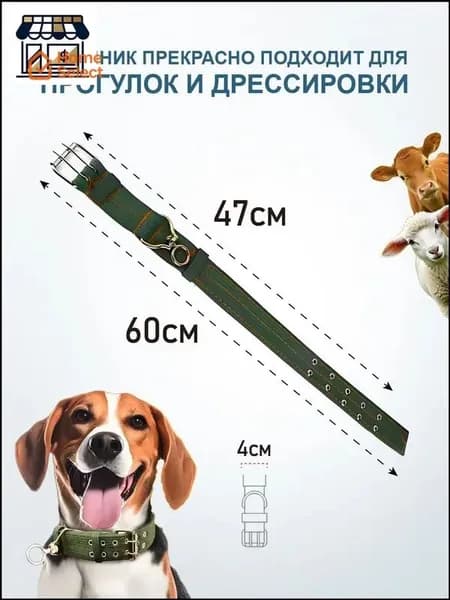 Ошейник для собак нейлоновый усиленный, 60 4 см, зелёный