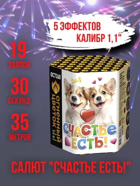 Салют - фейерверк 19 залпов "Счастье есть!", калибр 1,1", 30 секунд, 35 метров, 5 эффектов