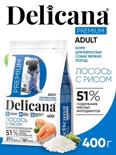 Корм сухой Delicana для собак мелких пород Лосось с рисом 400 гр