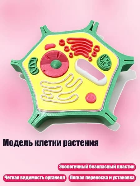 Бумага для принтера