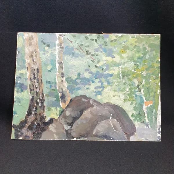 Этюд "Карельские камни", 24х18 см, масло, картон