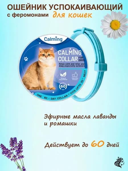 Ошейник успокаивающий для кошек с феромонами и эфирными маслами голубой