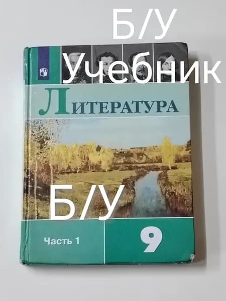 учебник литература 9 класс 1 часть. программа 19-22 г