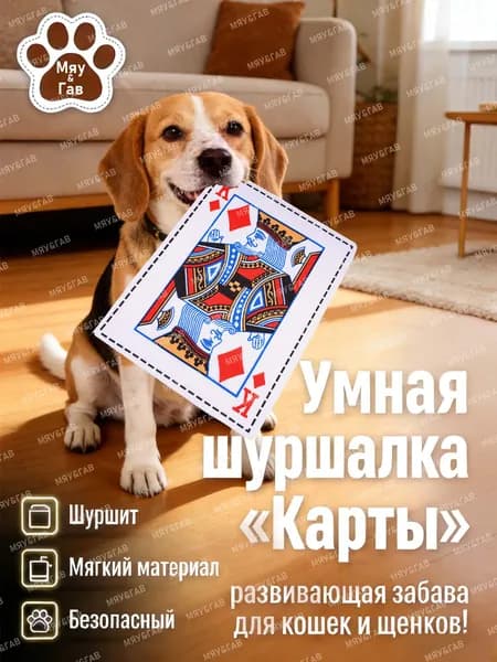 Шуршащая игрушка-карта для собак и кошек Король-шуршалка антистресс, безопасно, хрустит как настоящая, 26.5 18 см