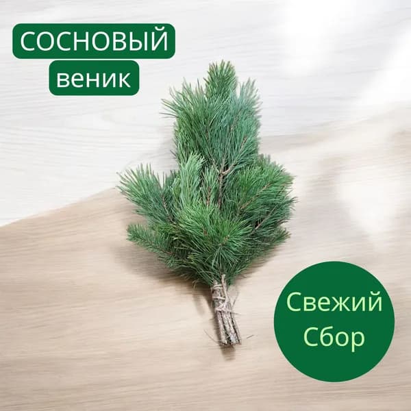 Веник для бани Сосновый, 1 шт.