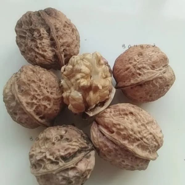 Грецкий орех тонкокорый, мясистый, старый сорт, рассыпной, с щипцамиz
