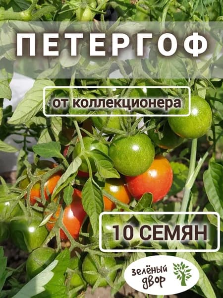 Томат Петергоф, низкорослый, скороспелый, для огорода, теплицы, балкона, лоджии, кашпо.
