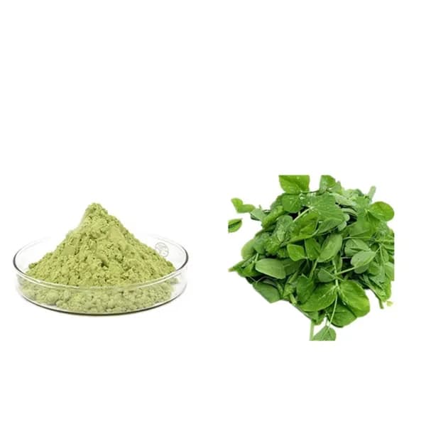 порошок из ростков гороха - экстракт ростков гороха 100 г-1000 г , Pea Sprout