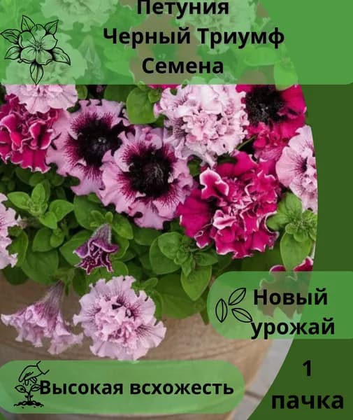 Петуния Черный Триумф, семена 10шт