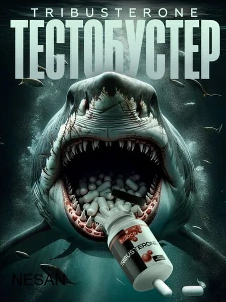 Tribusterone / Тестостерон для мужчин, экдистерон, бустер тестостерона, трибустерон / 60 капсул