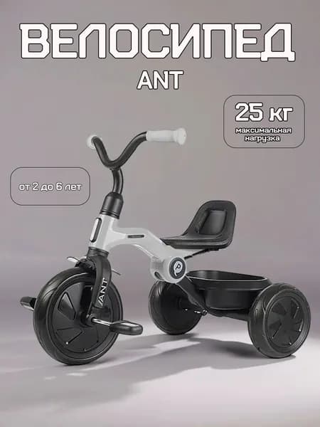 Детский велосипед трехколесный для детей от 2 лет Qplay ant