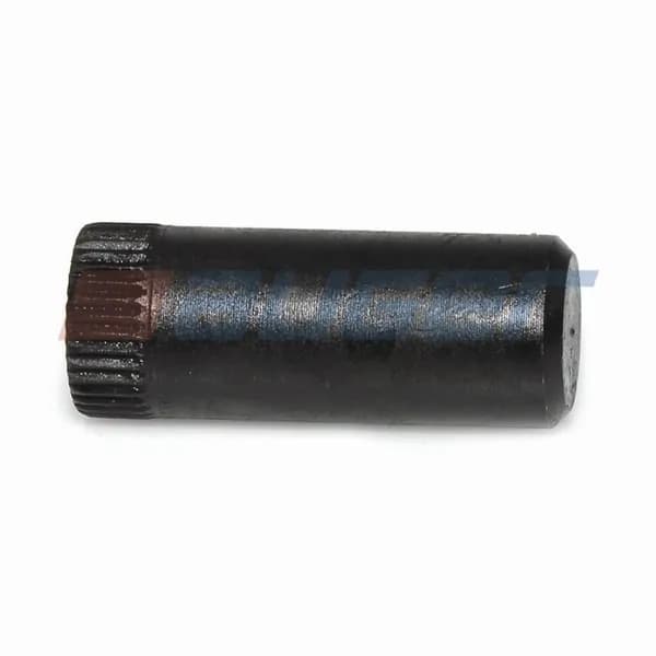 Палец тормозной колодки 22*56 DAF 85CF (Auger)