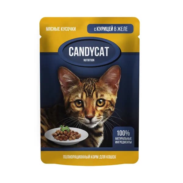 Gina Пауч для кошек Candycat Курицей в желе, 85 г