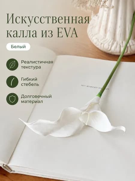 Стабилизированные цветы Калла 1 шт белый