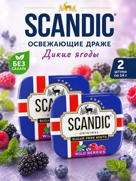 SCANDIC, Конфеты Дикие Ягоды без сахара, 2 шт х 14 г, Wild Berries