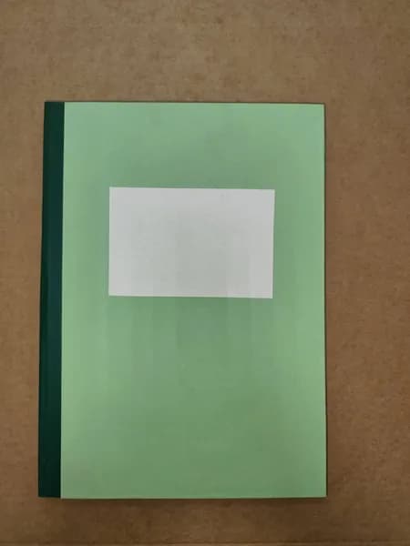 Книга учета, 1 шт., листов: 96