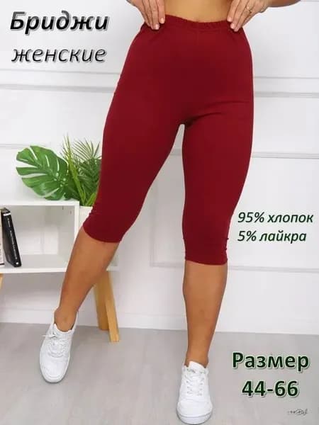 Бриджи