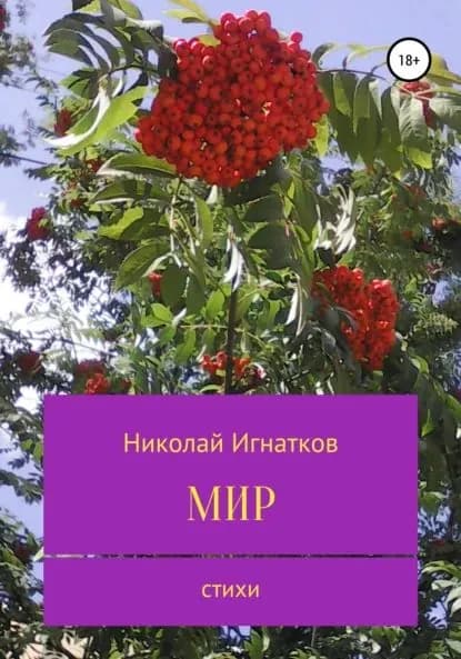 Мир | Игнатков Николай Викторович | Электронная книга