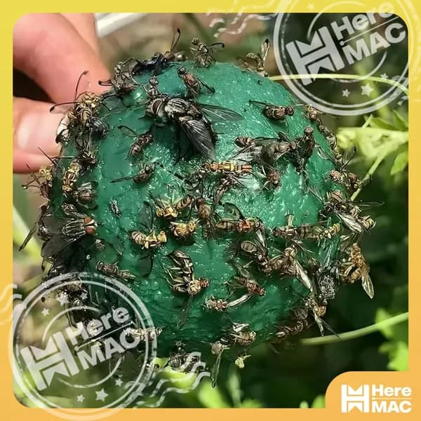 HereMAC Ловушка для садовых вредителей