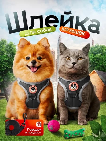 Шлейка для собак мелких и средних пород и кошек, с поводком, обхват груди L 40-44 см, цвет черный
