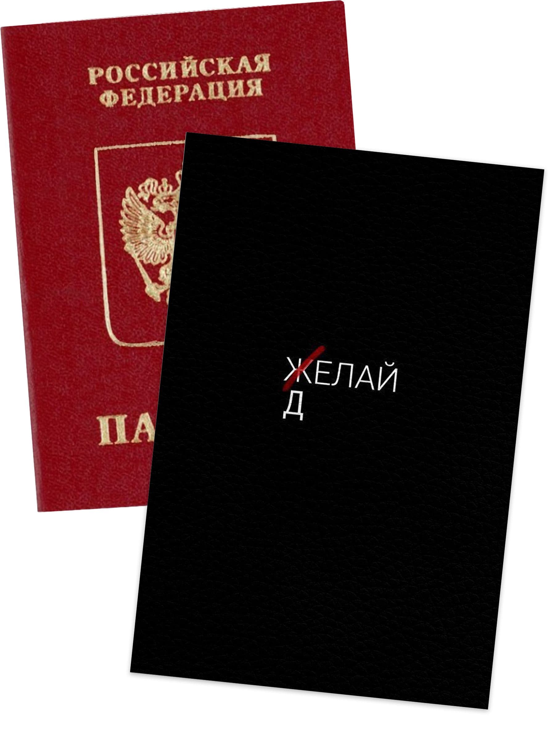 Чехол для паспорта цитатами