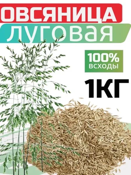 Овсянница луговая семена - 1 кг