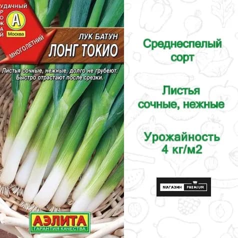 Семена Лук батун Лонг токио (0,5 г) - Аэлита