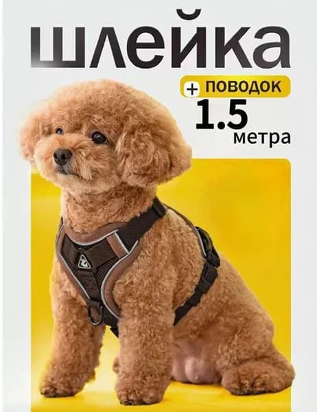 Шлейка для собак кошек средних и мелких пород поводок