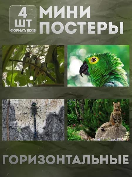 Мини постеры 10 на 15 (набор) «Животные» 4 шт