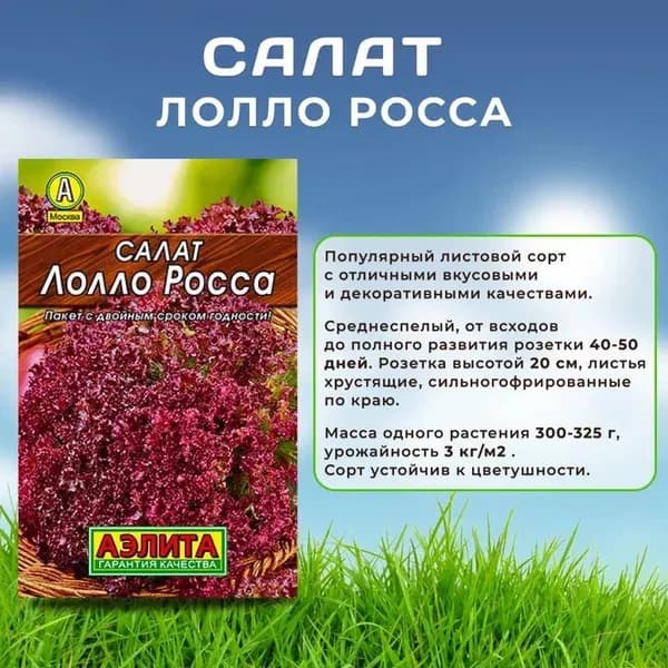 Семена Салат "Лолло Росса" листовой , Агрофирма Аэлита