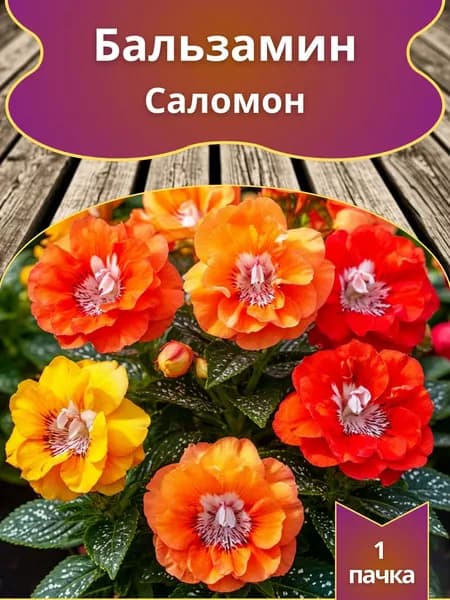 Бальзамин Саломон , семена 10 шт.