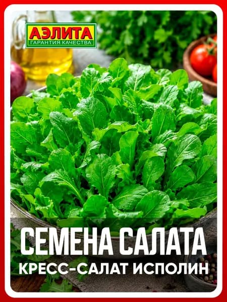 Семена кресс-салат "Исполин", 1 г, для дома, дачи и огорода, кресс-салат из семян, в открытый грунт