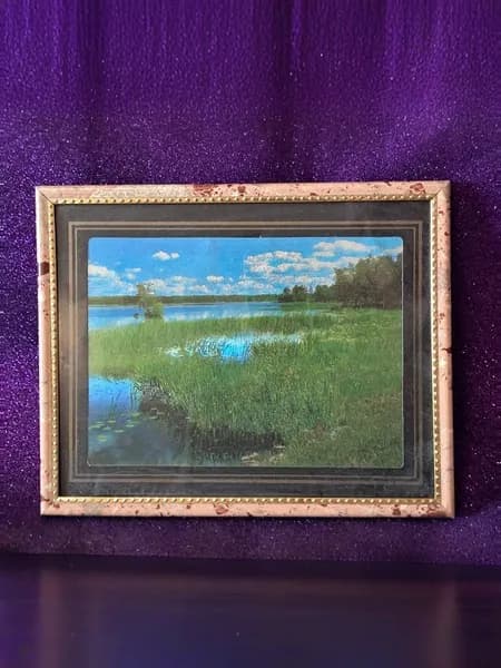 Картина винтажная Зеркальное озеро.. Потаённая Русь. Лес , вода, природа. 3д Стерео картина с голографическим эффектом, 20 х 25. 1990 - е гг
