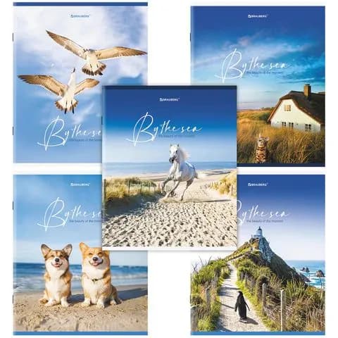 Тетрадь А5, 80 л., brauberg, скоба, клетка, обложка картон, by the sea, ,(набор из 1 шт)