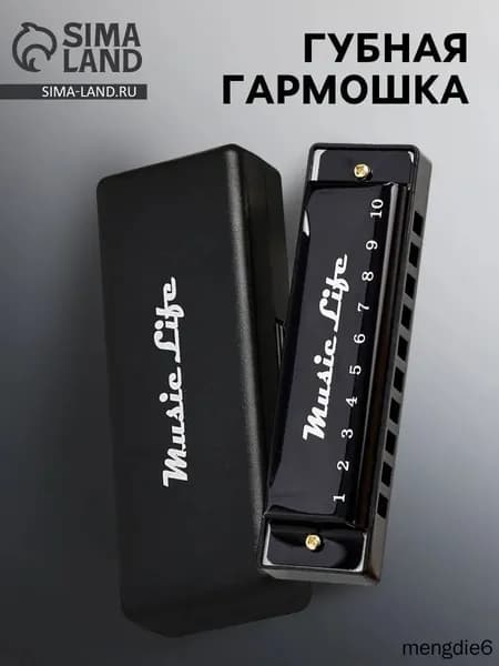 Губная гармошка диатоническая, C-major, с футляром, черная